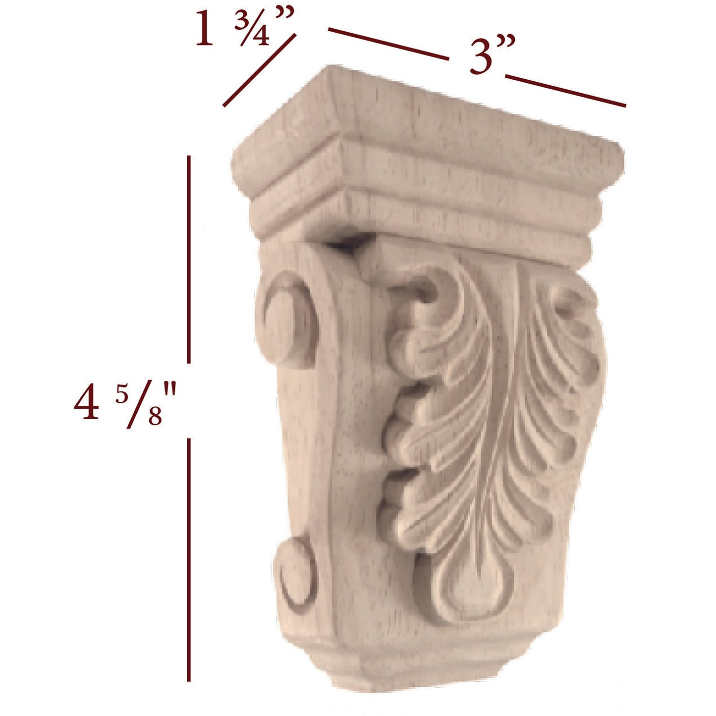 Small Acanthus Shell Corbel